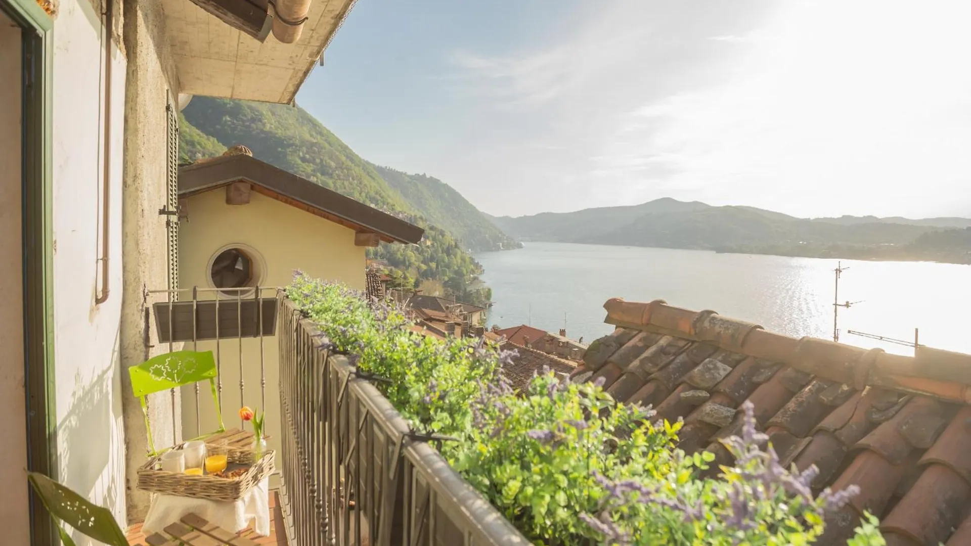 Apartament The Green Nest By Lake Como By Rent All Como Blevio