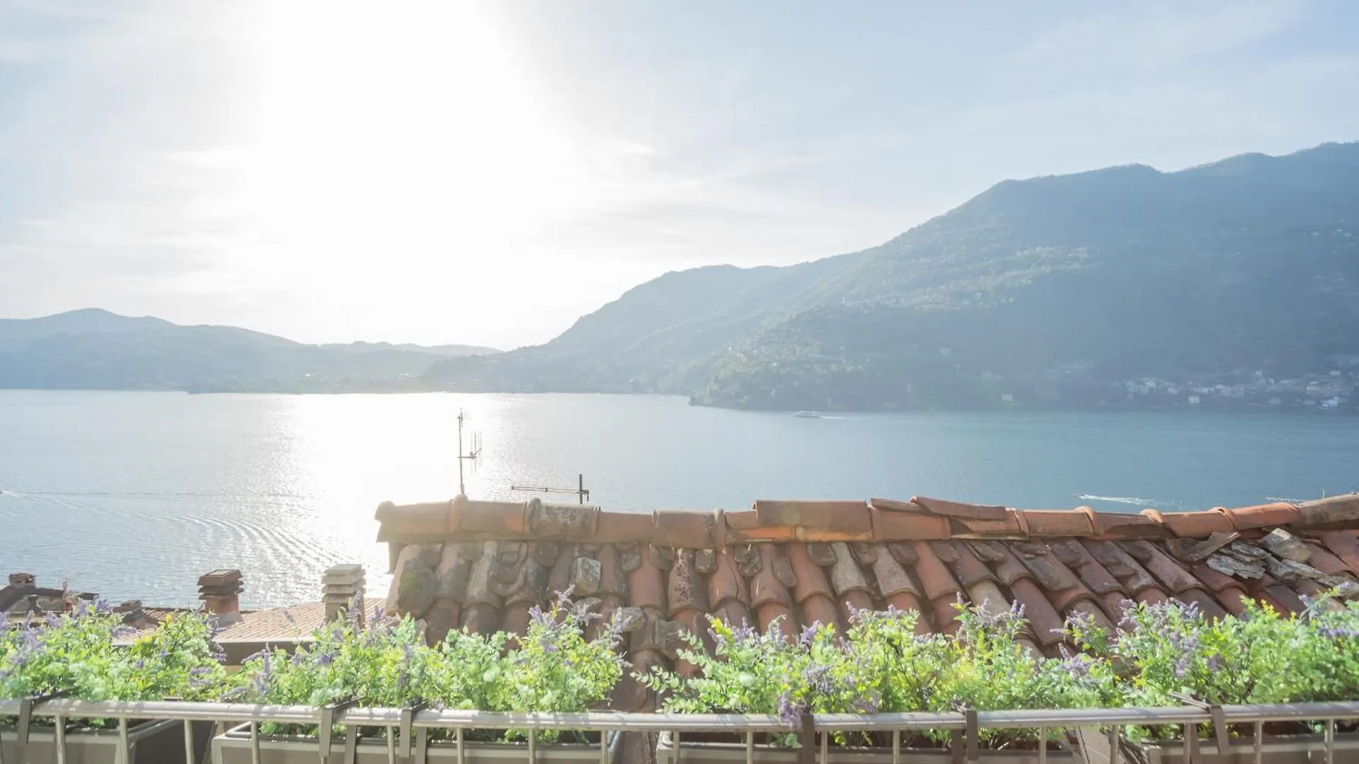 The Green Nest By Lake Como By Rent All Como Blevio 0*,